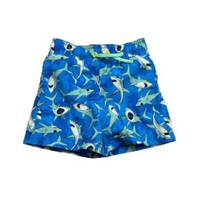 Boys Egg Shark Swim Shorts
